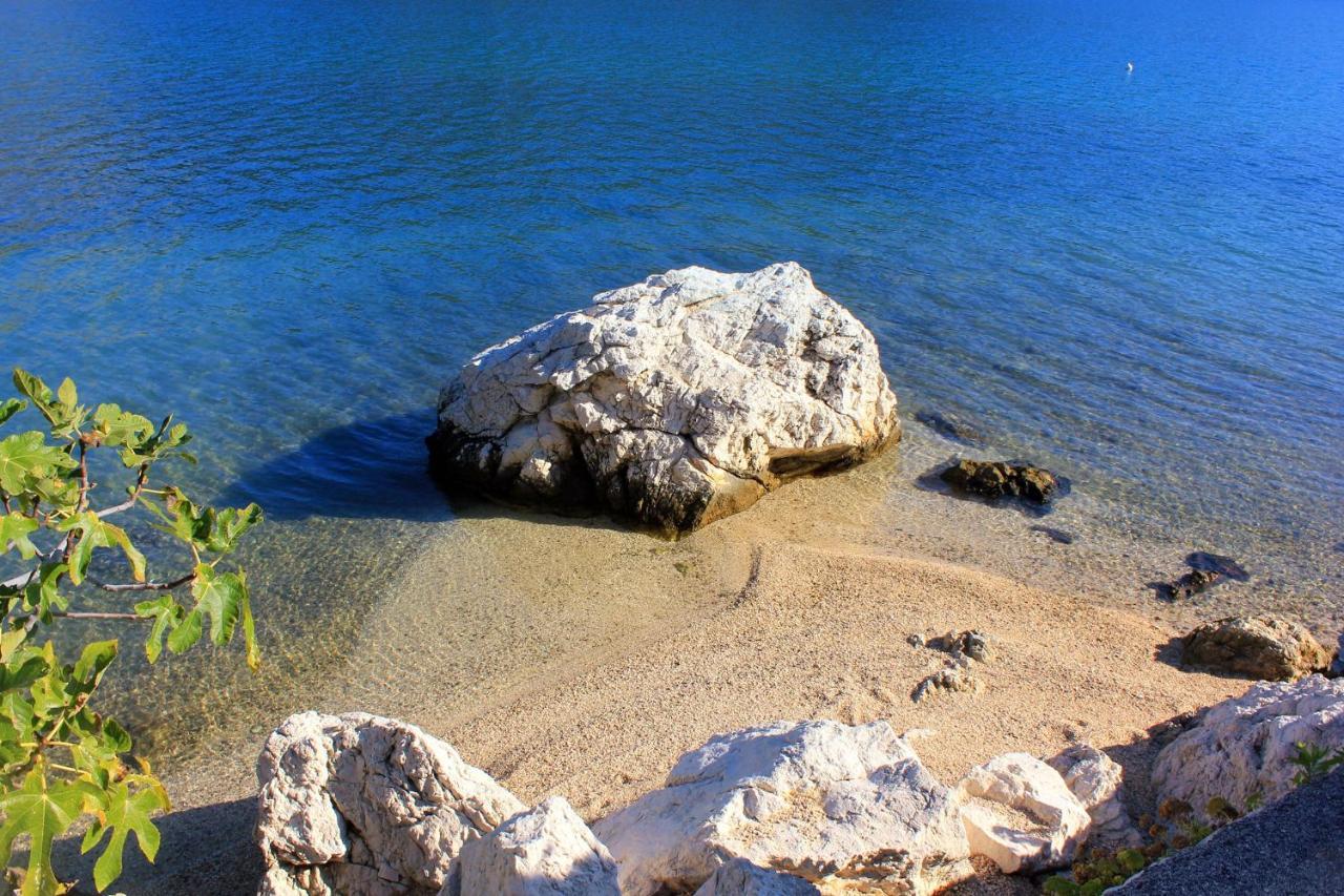 Apartments And Rooms By The Sea Slano, Dubrovnik - 8737 المظهر الخارجي الصورة